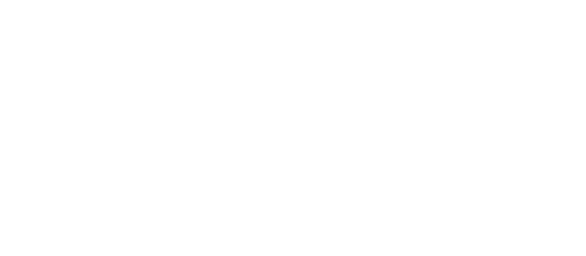 zürich partner logo