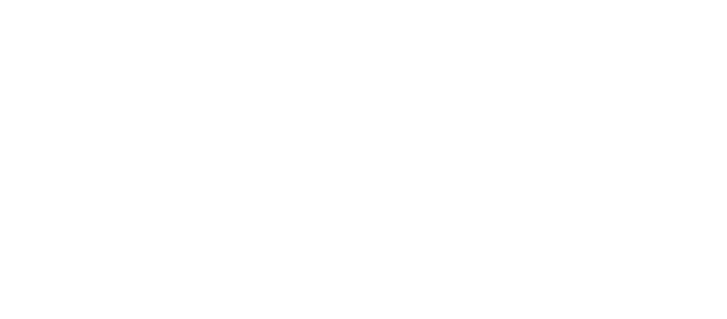 interwetten partner logo